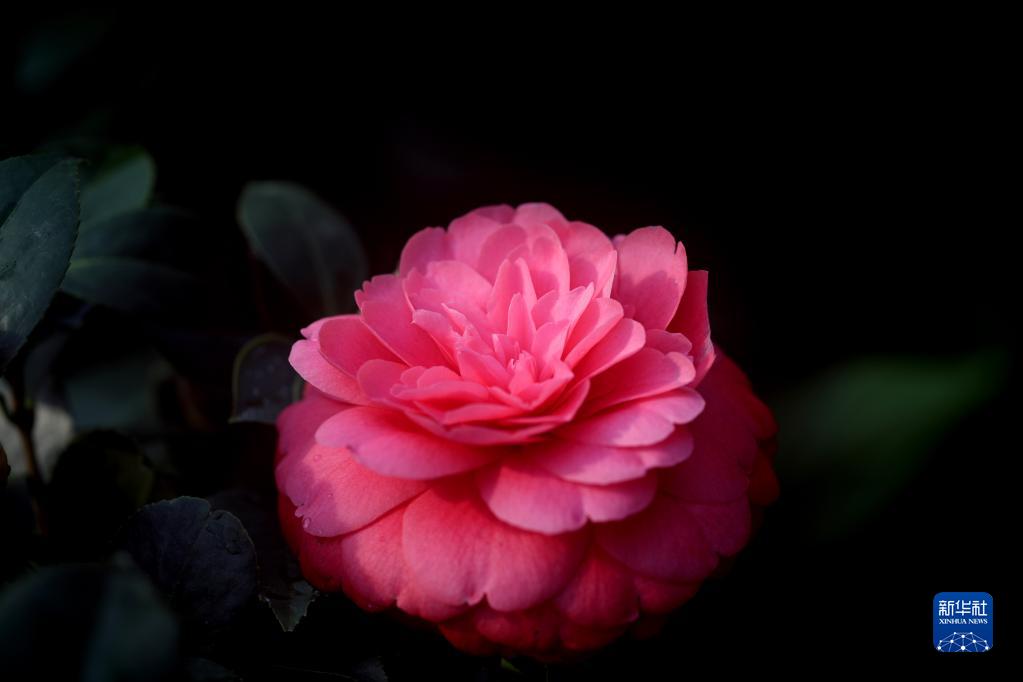 二十四節(jié)気の「小寒」迎えた中國(guó)全土