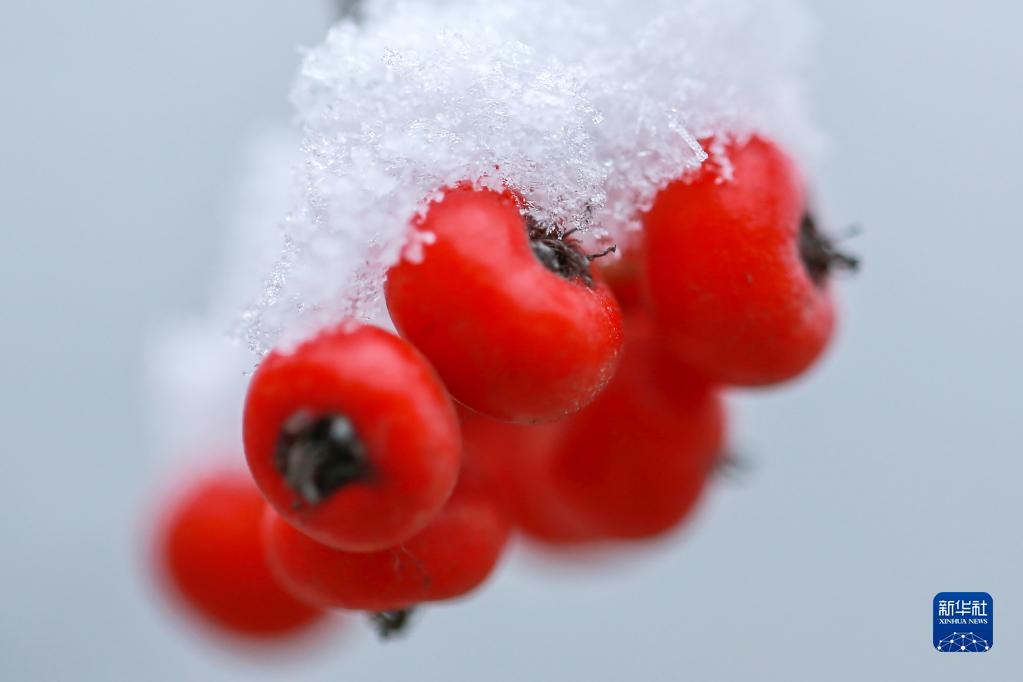 二十四節(jié)気の「小寒」迎えた中國全土
