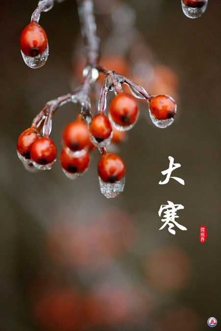 20日は大寒　寒さが去り春が訪れ、新たな年迎える