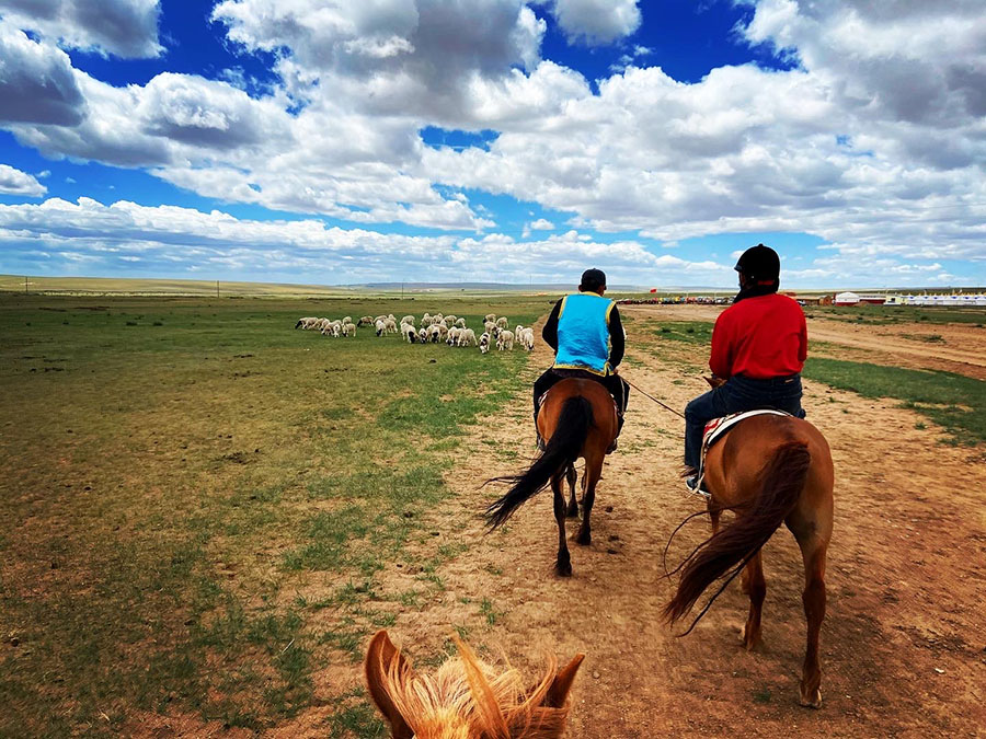 吸い込まれる、青い空と緑の大地