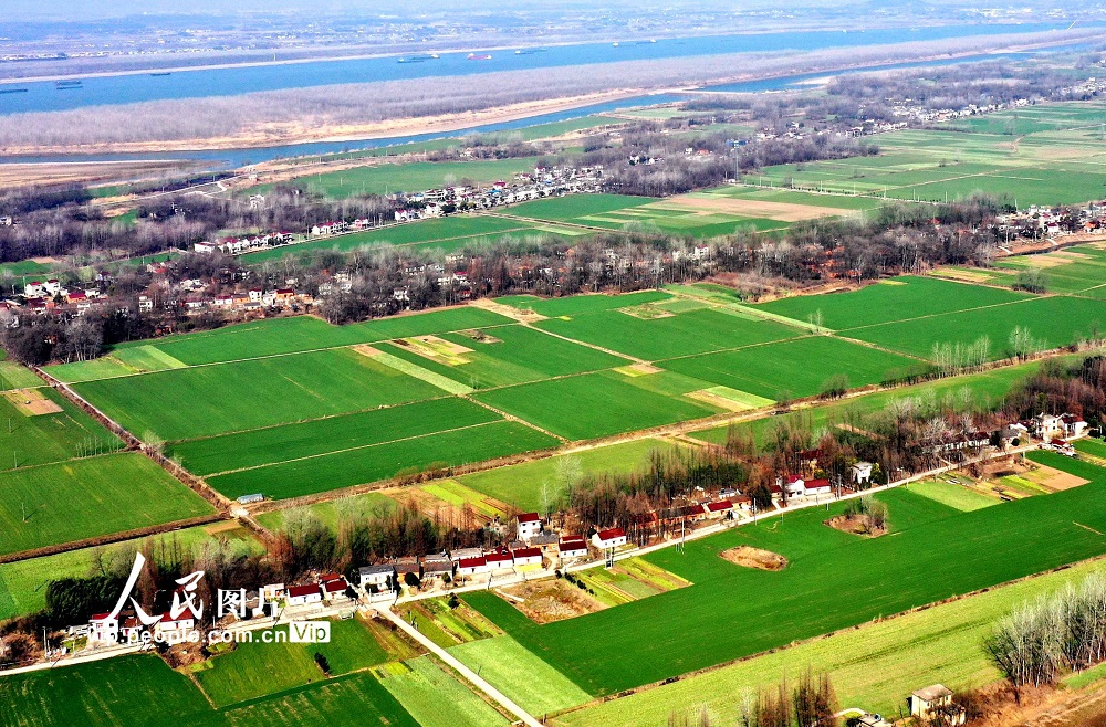 早春の麗しい農(nóng)村風(fēng)景　安徽省銅陵