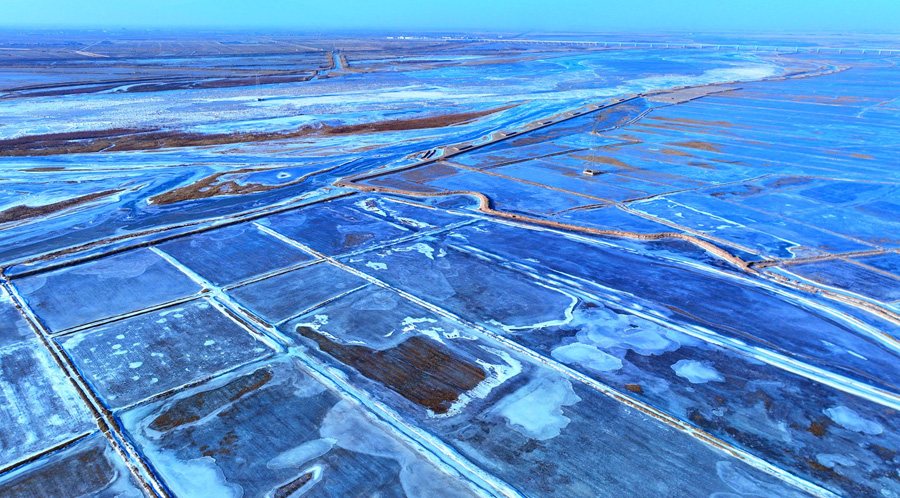 黃河の平羅區(qū)間に「ブルーアイス」が発生　寧夏