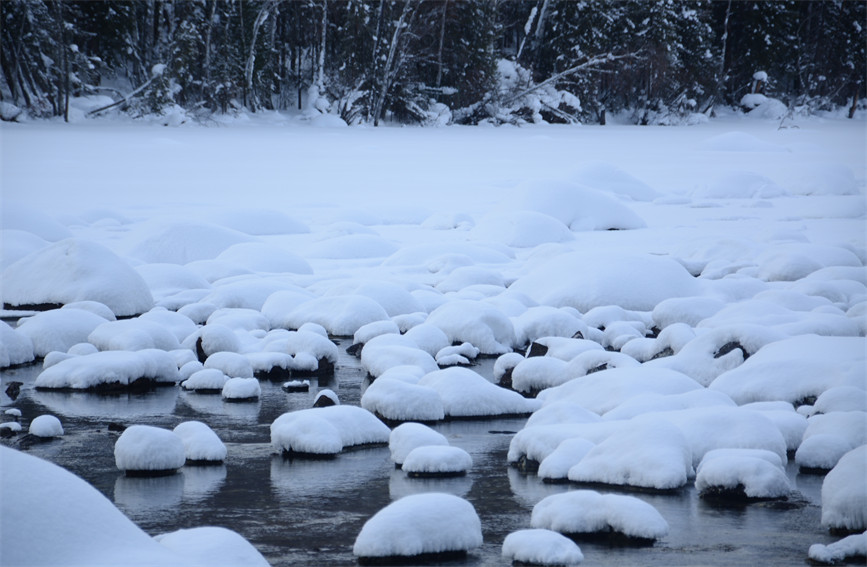 一面の幻想的な銀世界広がる新疆の喀納斯景勝地