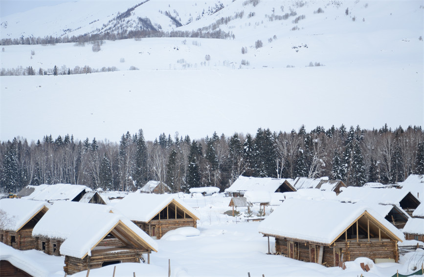 一面の幻想的な銀世界広がる新疆の喀納斯景勝地