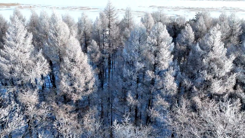 興凱湖に霧氷の奇観現(xiàn)る　黒竜江省