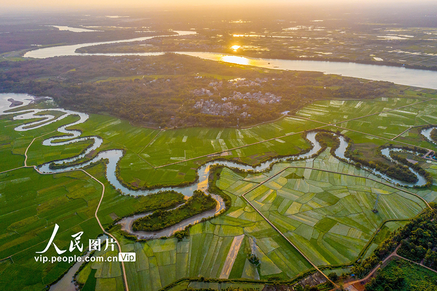 美しい春が訪れた海南省?？冥稳鷾l