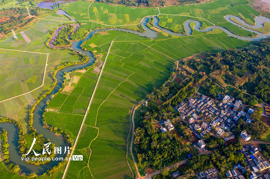 美しい春が訪れた海南省?？冥稳鷾l