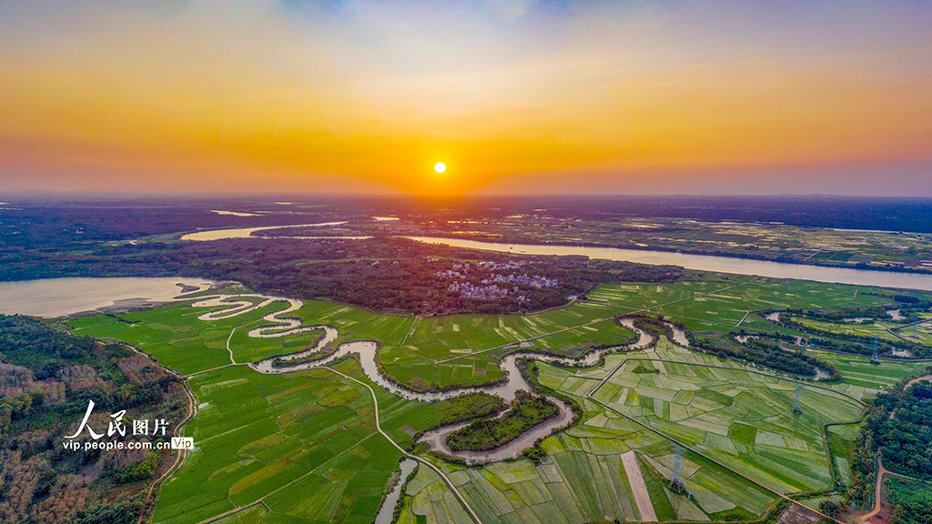 美しい春が訪れた海南省?？冥稳鷾l