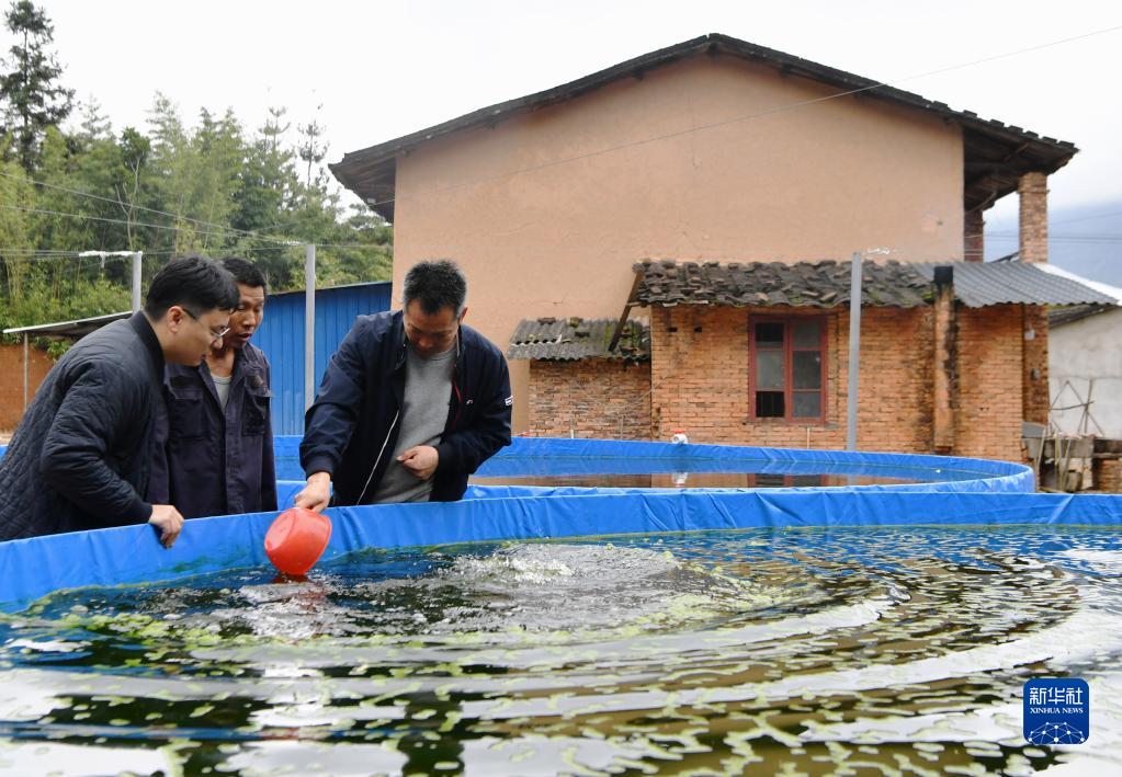 「小さな」金魚(yú)が「大きな」産業(yè)に　福建省関中村