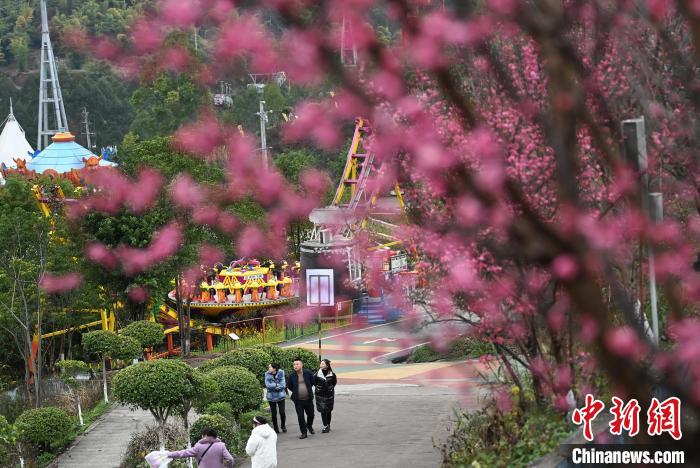 梅が開花し、春の香りに包まれる重慶市