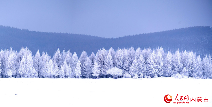 內(nèi)蒙古克什克騰旗に広がる幻想的で美しい霧氷
