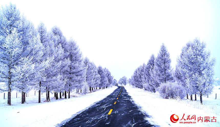 內(nèi)蒙古克什克騰旗に広がる幻想的で美しい霧氷