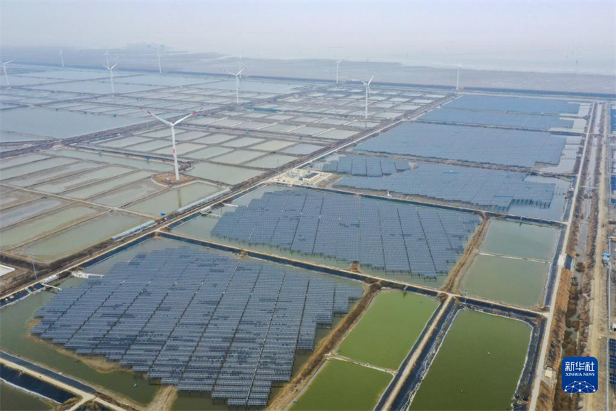 エコの恩恵をもたらす「漁業(yè)?太陽光発電相互補(bǔ)完」