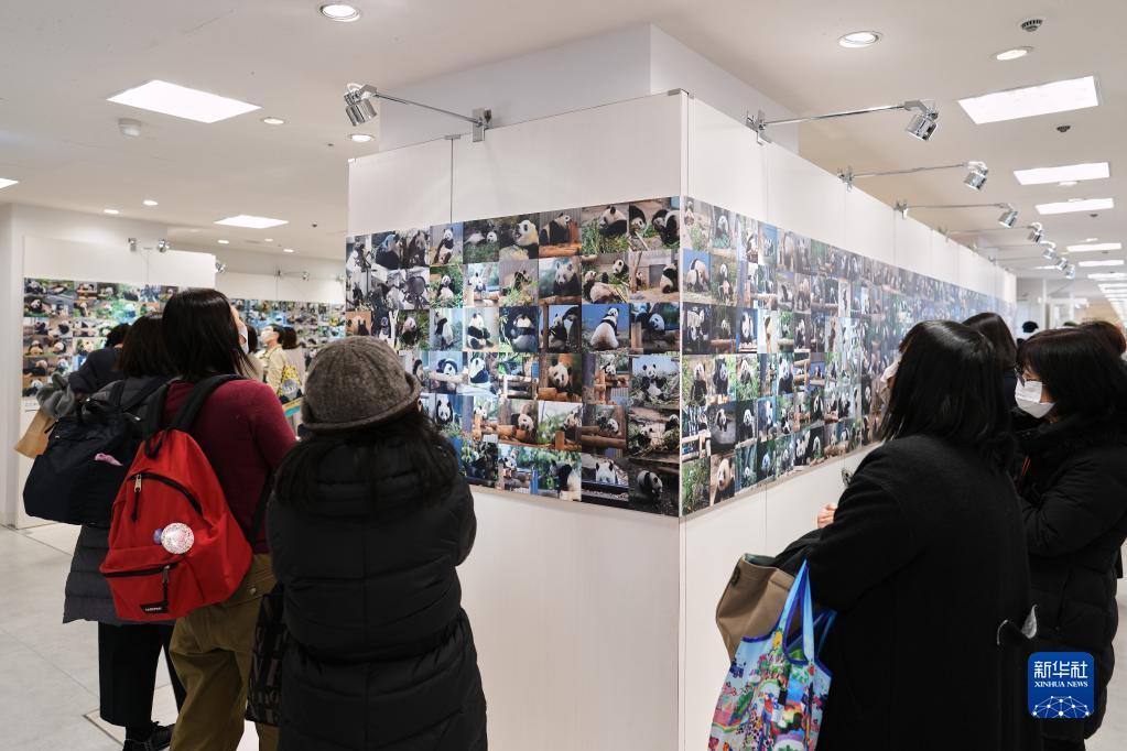 東京上野の百貨店でパンダの寫真展が開幕　日本