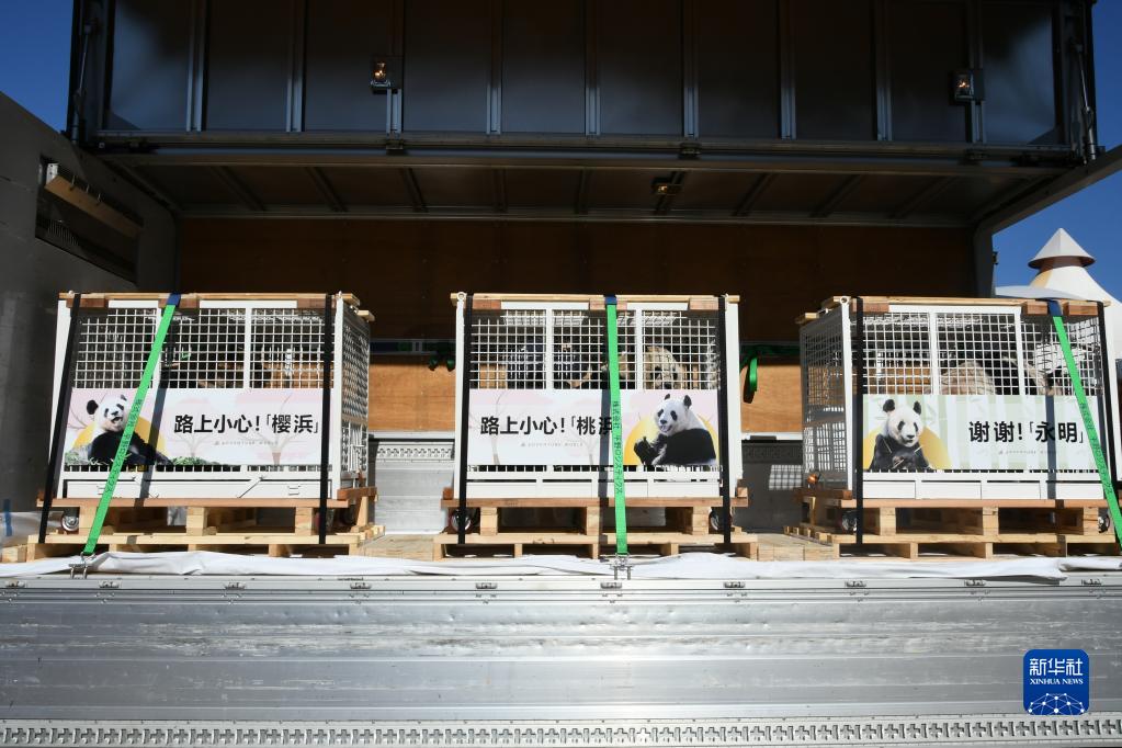 中國に返還される3頭のパンダとの別れを惜しむ日本のファン