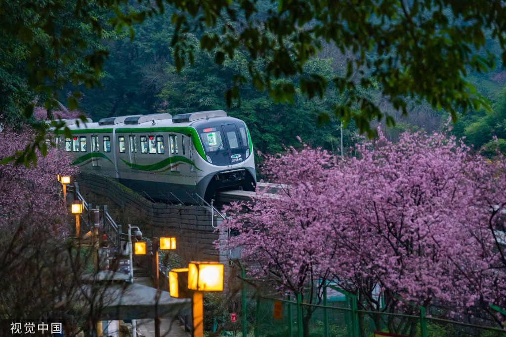 花の間を走行する列車　重慶