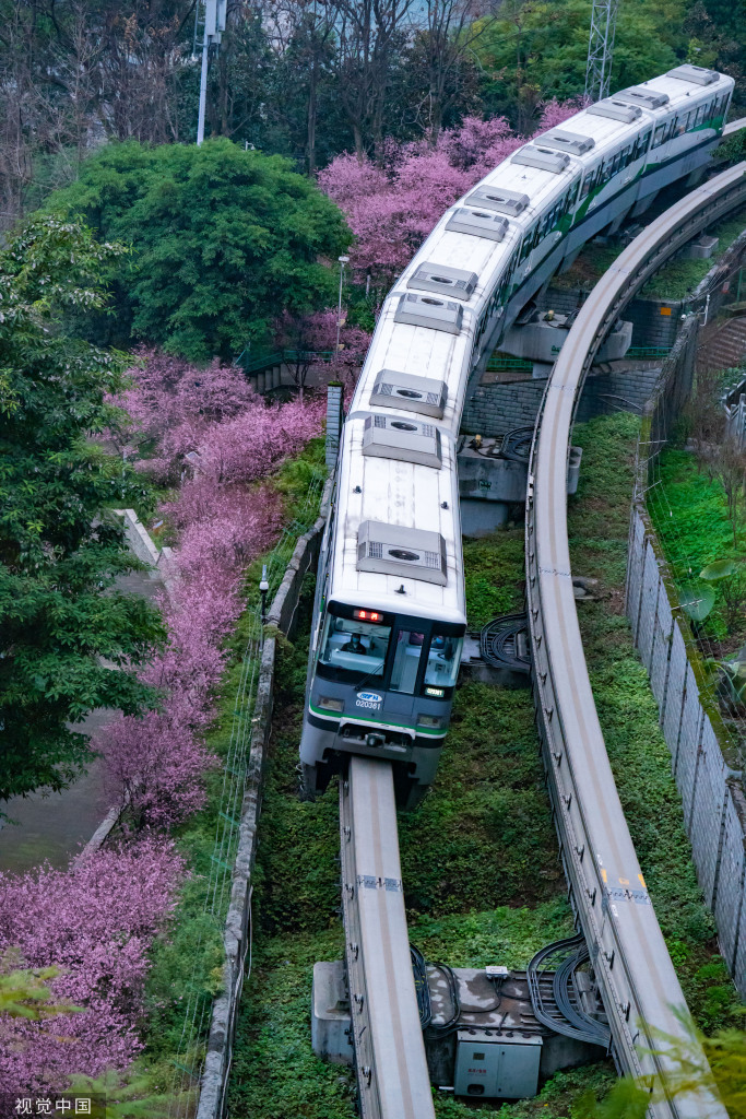 花の間を走行する列車　重慶