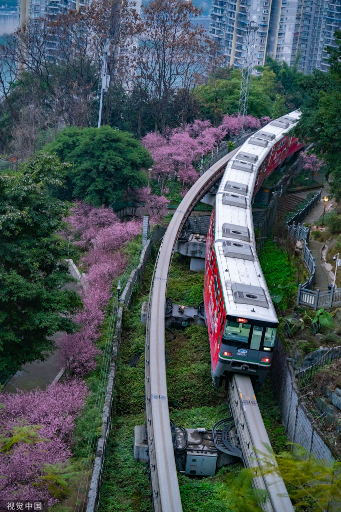 花の間を走行する列車(chē)　重慶