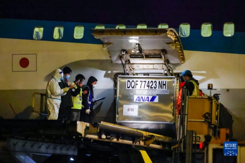 パンダの「永明」も中國に無事帰國　30歳の高齢で16頭の父親