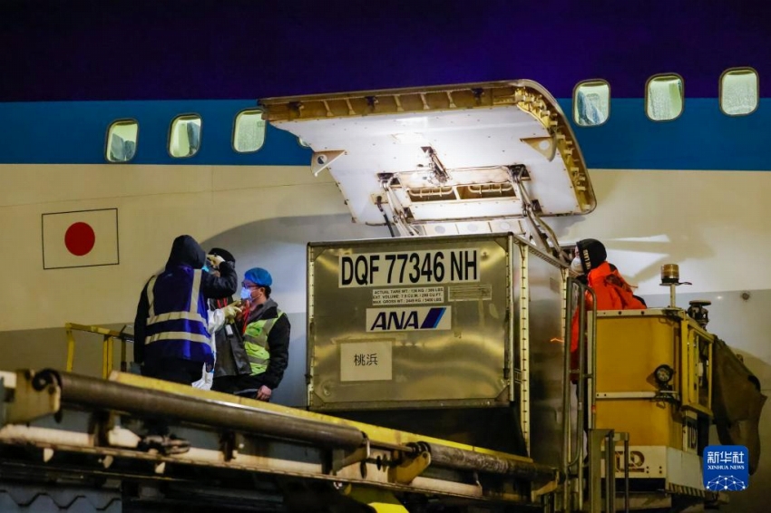 パンダの「永明」も中國(guó)に無(wú)事帰國(guó)　30歳の高齢で16頭の父親