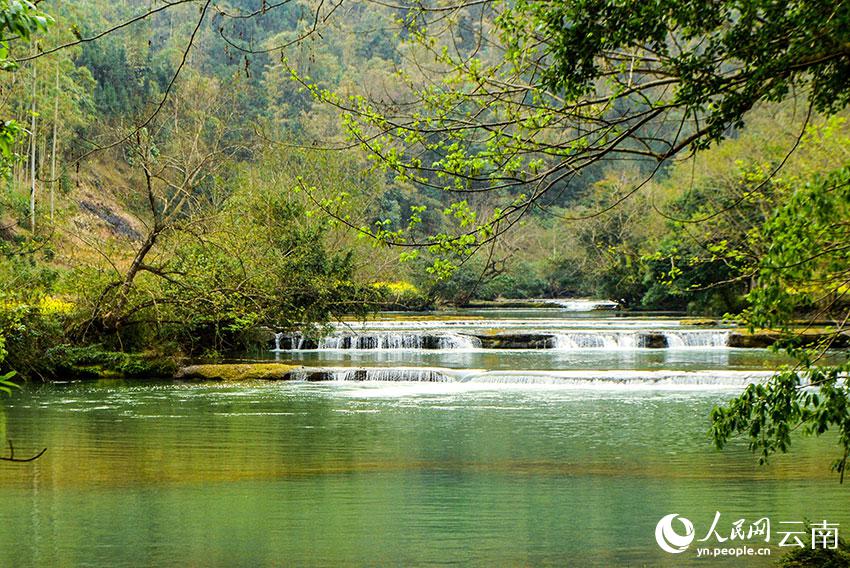 多依河の両岸に広がる春の景色　雲(yún)南省羅平県