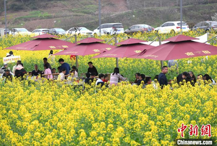花より団子ならぬ花より鍋！菜の花畑で名物のピリ辛鍋楽しむ重慶市民