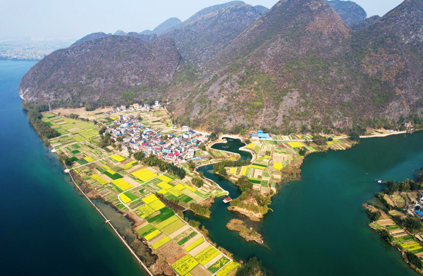 菜の花畑が広がる美しい農(nóng)村　広西