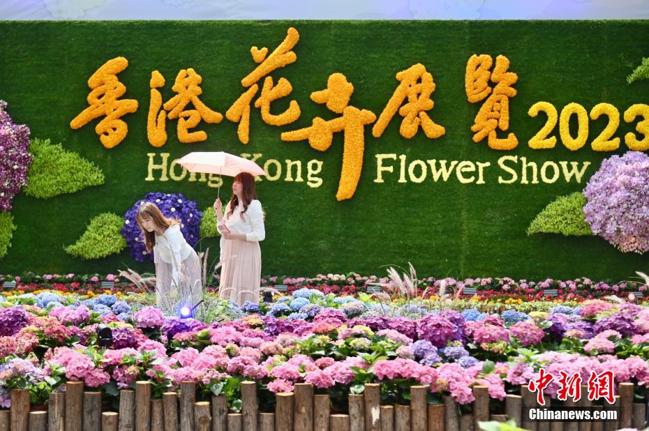 「香港フラワーショー」が復(fù)活　美しさを競い合う40萬本の花