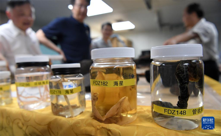 有人潛水船「奮闘者」號(hào)、初の環(huán)オセアニア有人深海潛水科學(xué)調(diào)査任務(wù)を遂行