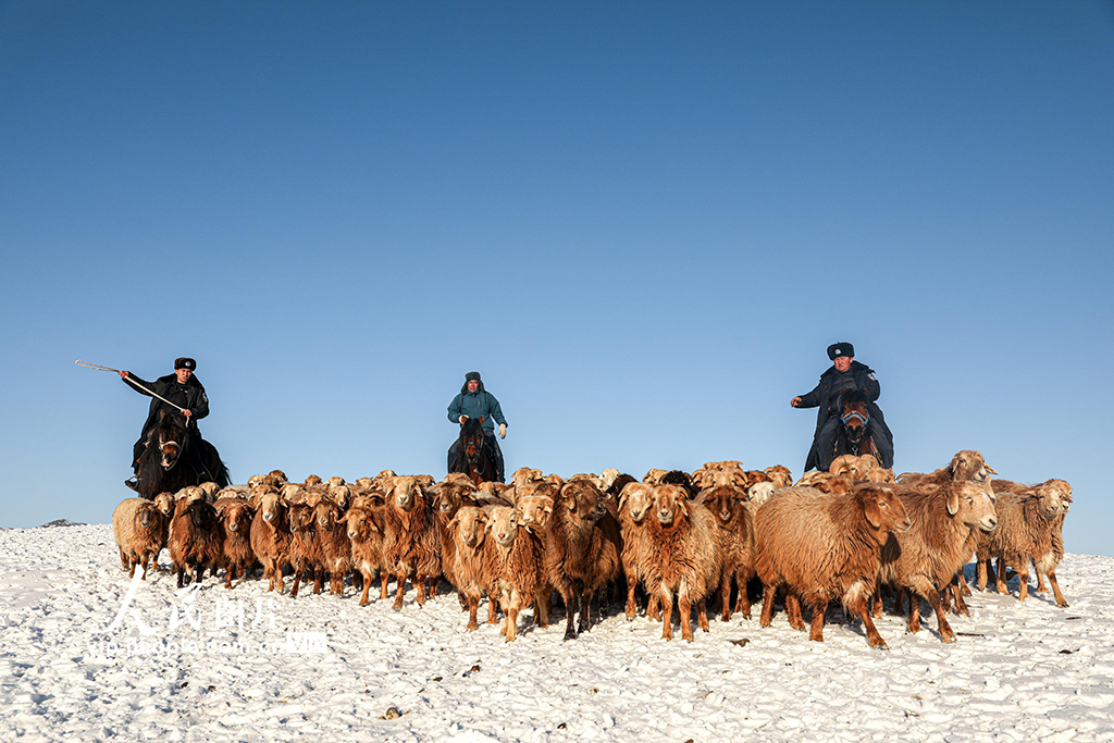 牧畜民の牧場(chǎng)移動(dòng)を警官がサポート　新疆阿爾泰