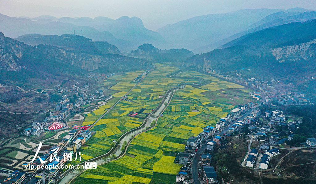 大地に広がる黃色と緑のパッチワークのような「春の絨毯」（撮影?劉學(xué)懿/寫真著作権は人民図片が所有のため転載禁止）。