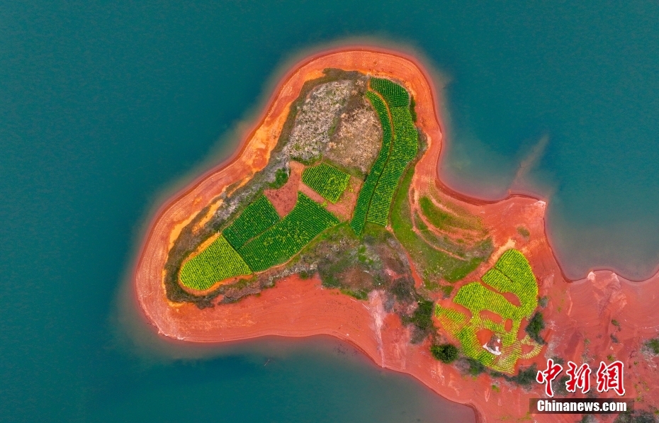 カラフルな春の景色広がる千鳥湖の島々　浙江省淳安