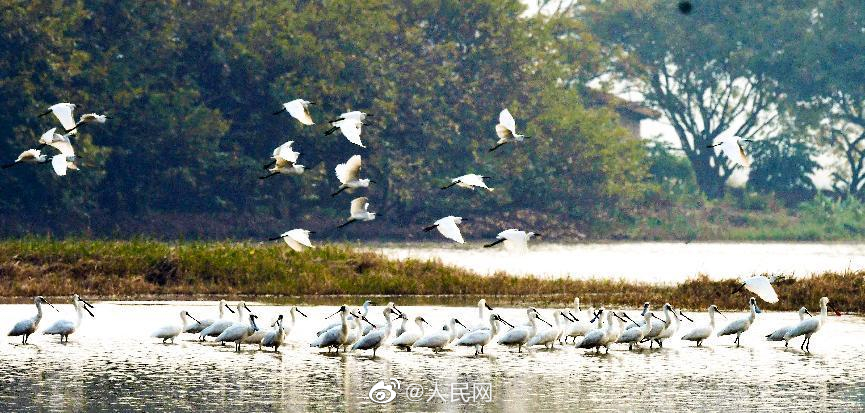 緑化進み四季折々の美しさ見せる広州　広東省