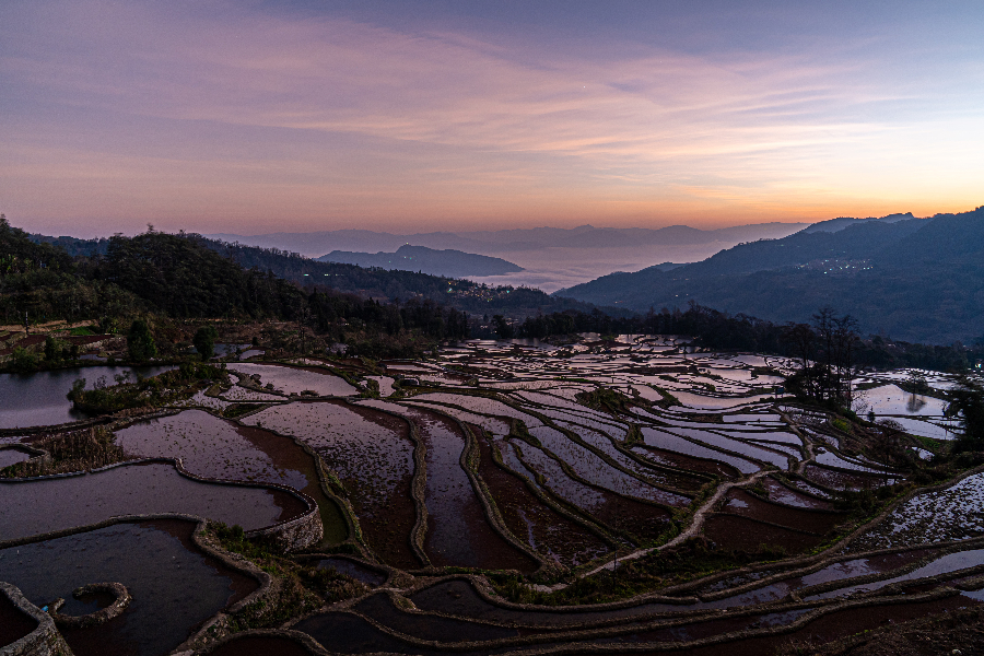 雲(yún)南省元陽(yáng)の棚田 朝と夜