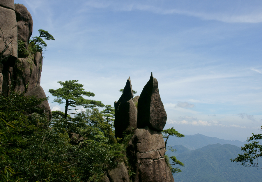 「ペンギン獻(xiàn)花」