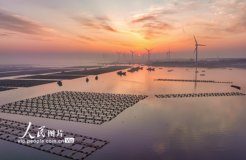 海洋牧場の急成長をサポートする風(fēng)力発電　山東省栄成