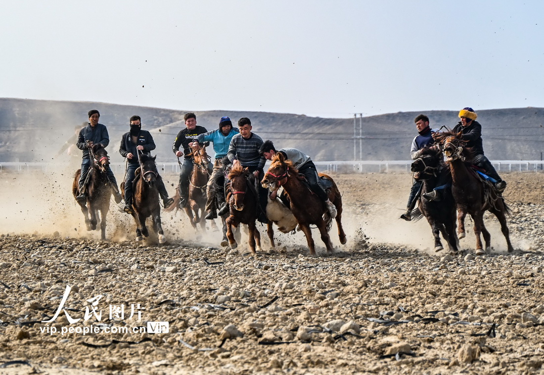 迫力たっぷりな伝統(tǒng)的な競馬パフォーマンスに歓聲　新疆呼図壁