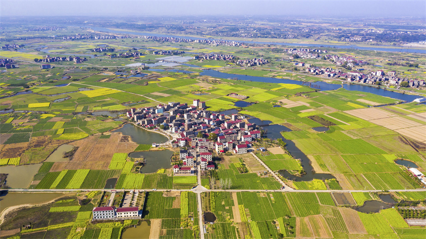 春の大地はまるでカラフルな「パレット」　江西省樟樹