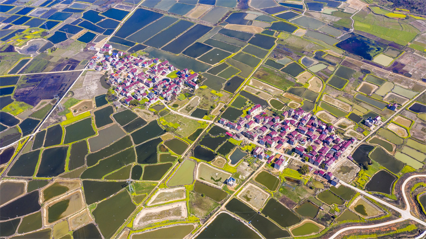 春の大地はまるでカラフルな「パレット」　江西省樟樹(shù)