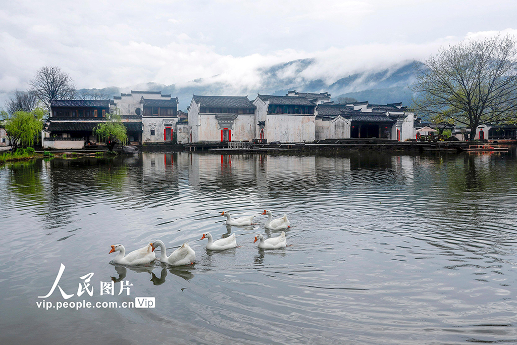 雨上がりの趣ある古村の景色　安徽省黃山