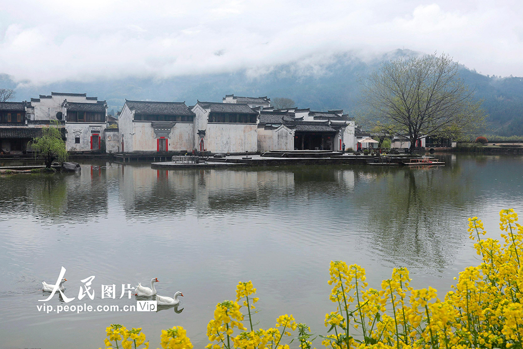 雨上がりの趣ある古村の景色　安徽省黃山