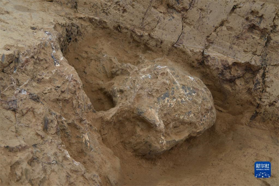 2022年度中國全土10大考古學(xué)的新発見の結(jié)果が発表