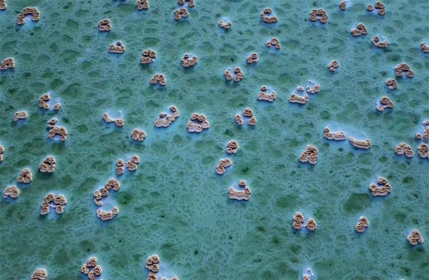 幻想的で美しい「水上のヤルダン」 新疆?羅布泊