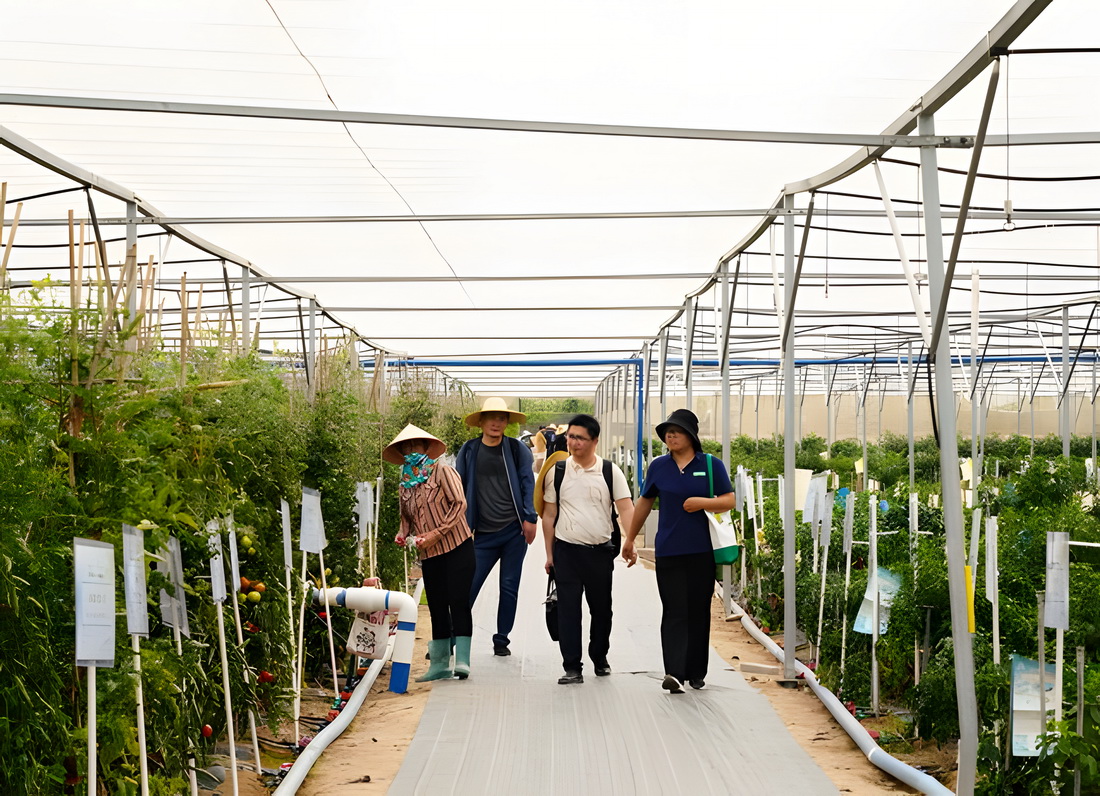 三亜市崖州區(qū)の國家現(xiàn)代農(nóng)業(yè)産業(yè)園を訪ねて　海南省