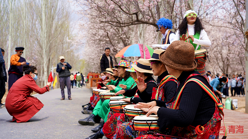黃河沿岸に春が來た！あたりに漂うアンズの花の香り　青海省