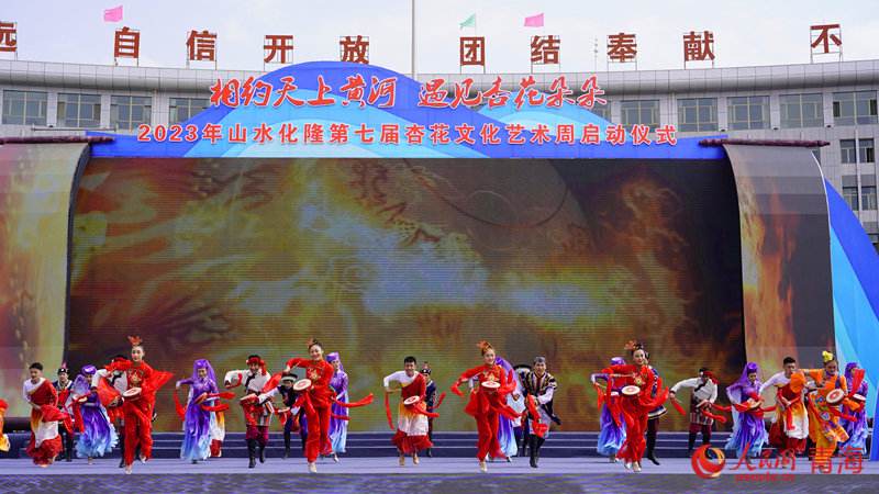 黃河沿岸に春が來た！あたりに漂うアンズの花の香り　青海省