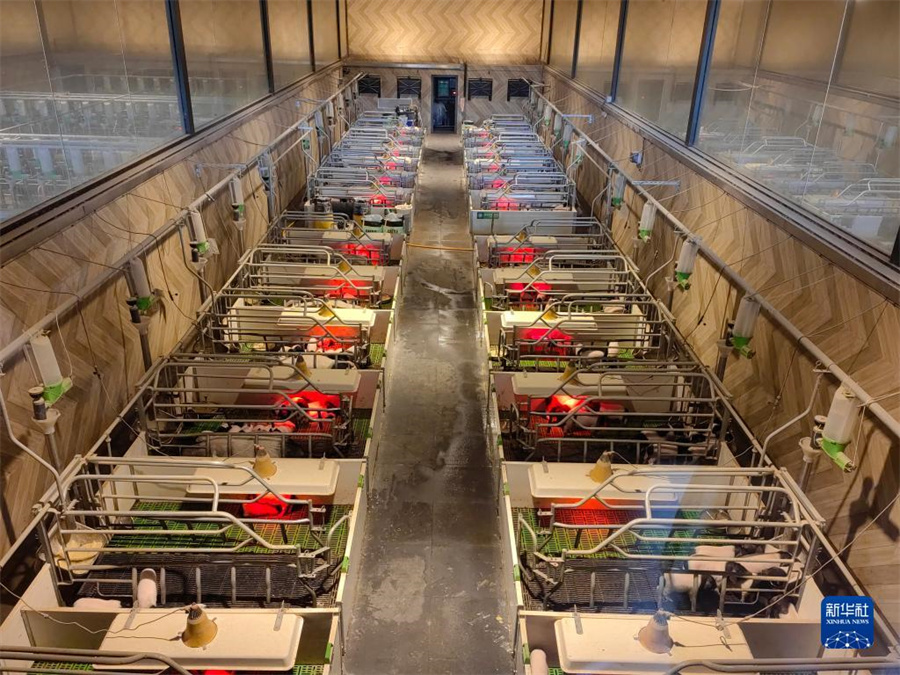 浙江省の「未來農(nóng)場(chǎng)」を訪ねて