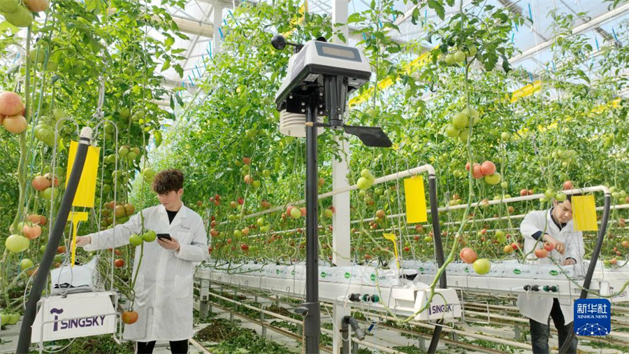 浙江省の「未來(lái)農(nóng)場(chǎng)」を訪ねて