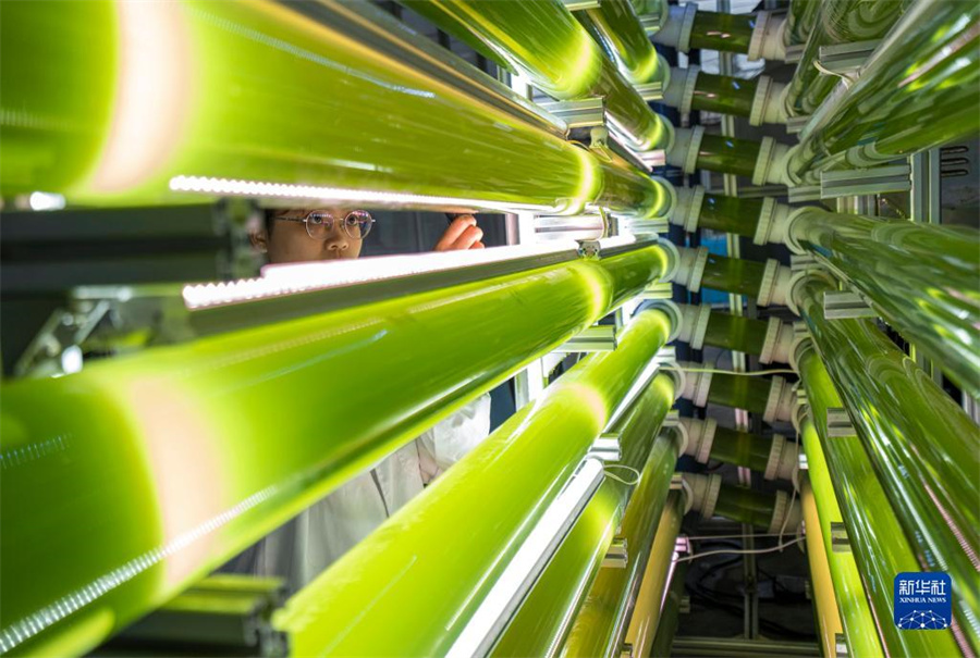 浙江省の「未來(lái)農(nóng)場(chǎng)」を訪(fǎng)ねて