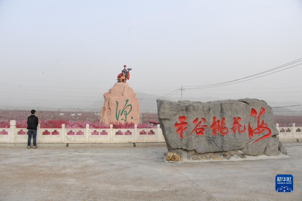 第25回北京平谷國際桃花フェスティバルが開幕